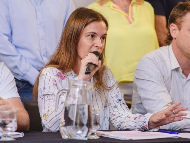 Land�var ocupar� la banca de diputada y seguir� en el Ejecutivo